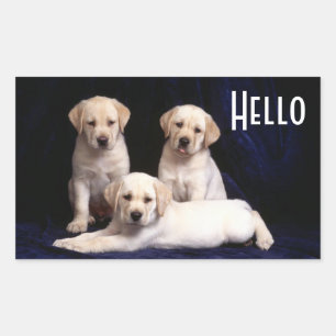 Hallo Gele Labrador Retriever Puppy Honden Sticker