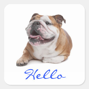 Hallo Gelukkige Bulldog Puppy Hond Groet Sticker