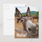 Hallo getrokken | Grappig ezeldier Boerderij Briefkaart (Voorkant / Achterkant)