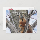 Hallo Gewoon binnenkomen om te zeggen Feestdagenkaart (Voorkant / Achterkant)