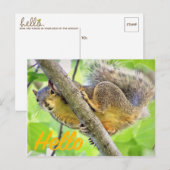 hallo gewoon in Briefkaart controleren (Voorkant / Achterkant)