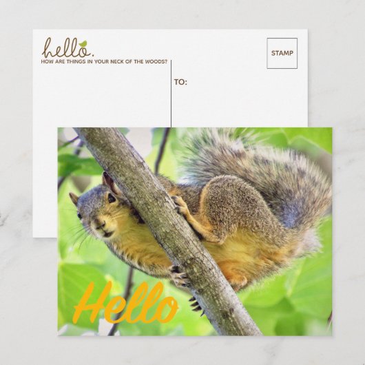 hallo gewoon in Briefkaart controleren (Voorkant / Achterkant)