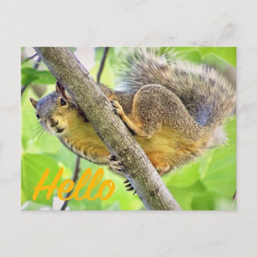 hallo gewoon in Briefkaart controleren (Voorkant)