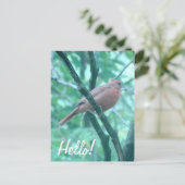 Hallo Gezegde Hi Kardinaal op Tak Briefkaart (Staand voorkant)