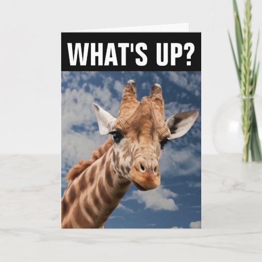HALLO GIRAFFE WENSKAART, WAT IS ER? KAART (Voorkant)