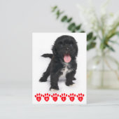 hallo glimlachen schitteren Tzu Black en White Pup Briefkaart (Staand voorkant)