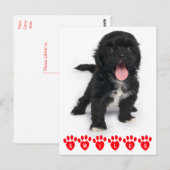 hallo glimlachen schitteren Tzu Black en White Pup Briefkaart (Voorkant / Achterkant)
