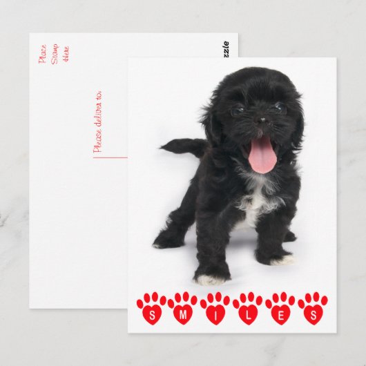 hallo glimlachen schitteren Tzu Black en White Pup Briefkaart (Voorkant / Achterkant)