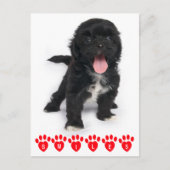 hallo glimlachen schitteren Tzu Black en White Pup Briefkaart (Voorkant)