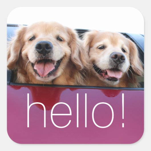 Hallo Glimlachende Golden Retriever Honden in auto Vierkante Sticker (Voorkant)