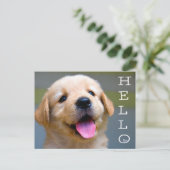 Hallo Golden Retriever Puppy Dog Blank Briefkaart (Staand voorkant)