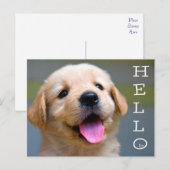 Hallo Golden Retriever Puppy Dog Blank Briefkaart (Voorkant / Achterkant)