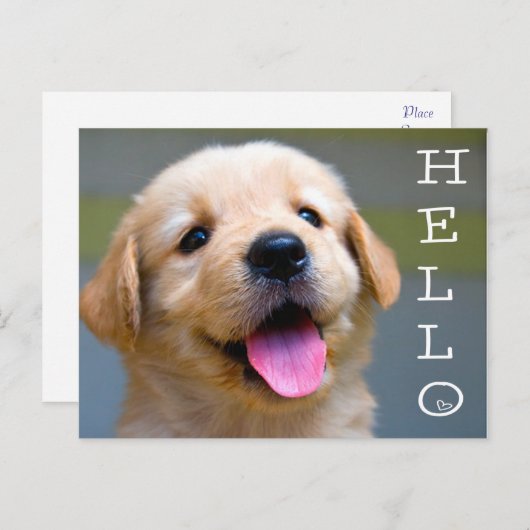 Hallo Golden Retriever Puppy Dog Blank Briefkaart (Voorkant / Achterkant)