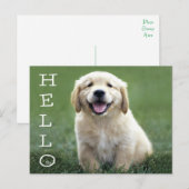 Hallo Golden Retriever Puppy Dog Blank Briefkaart (Voorkant / Achterkant)