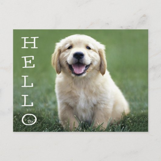 Hallo Golden Retriever Puppy Dog Blank Briefkaart (Voorkant)