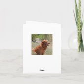 Hallo Golden Retriever Puppy Dog Blank Notecard Kaart (Achterkant)