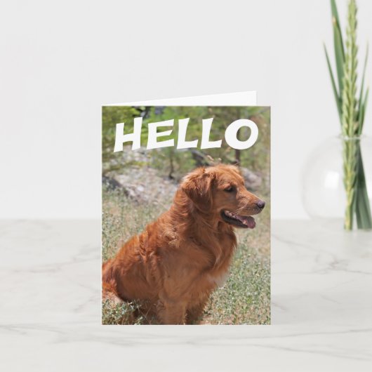 Hallo Golden Retriever Puppy Dog Blank Notecard Kaart (Voorkant)