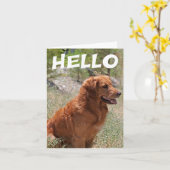 Hallo Golden Retriever Puppy Dog Blank Notecard Kaart (Gele Bloem)