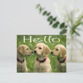 hallo Golden Retriever Puppy Dog Briefkaart (Staand voorkant)