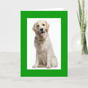 hallo Golden Retriever Puppy Dog Wenskaart Kaart