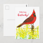 Hallo Goldenrod Kardinaal Briefkaart (Voorkant / Achterkant)