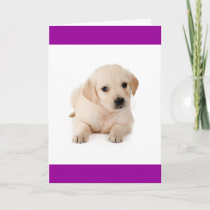 Hallo Gouden Retriever Puppy Hond Verjaardagskaart Kaart