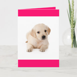 Hallo Gouden Retriever Puppy Hond Wenskaart Kaart