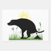 Hallo Grappig "Zomer" Pooping Lab inpakpapier Vel (Voorkant 2)