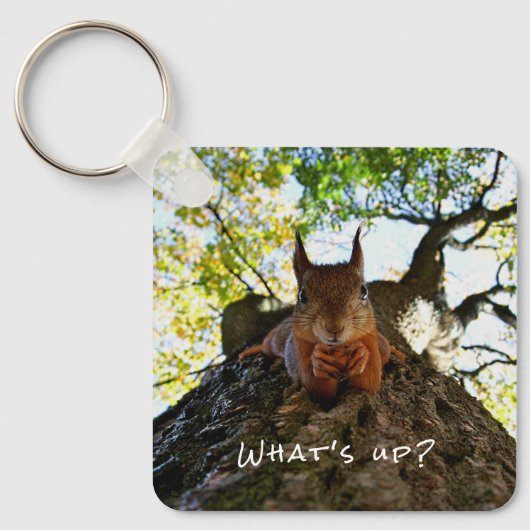 Hallo Grappige eekhoorn schattige dieren Sleutelhanger (Voorkant)