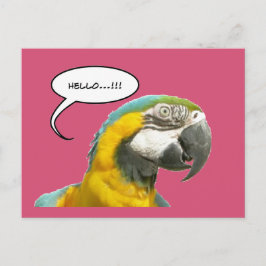 Hallo Grappige pratende papegaai? Briefkaart