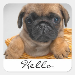 Hallo Groet Pug Puppies Honden Stickers