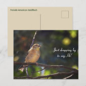 Hallo Hallo, Bird-American Goldfinch Briefkaart (Voorkant / Achterkant)