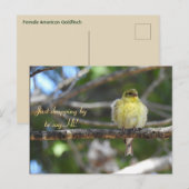 Hallo Hallo, Bird-American Goldfinch Briefkaart (Voorkant / Achterkant)