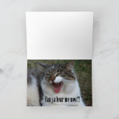 Hallo? Hallo? Hallo! (Kat) Kaarten (Binnen)