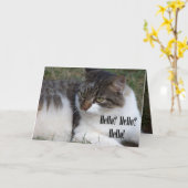 Hallo? Hallo? Hallo! (Kat) Kaarten (Gele Bloem)