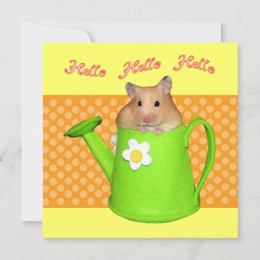 hallo hallo hamster kaart (Voorkant)