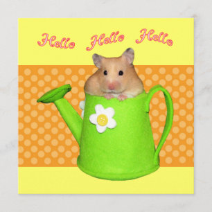 hallo hallo hamster kaart