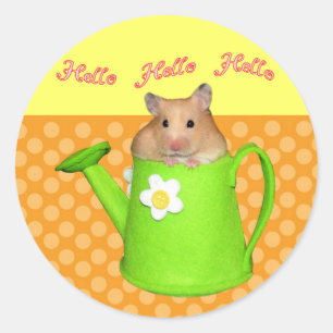Hallo hallo hamster ronde sticker