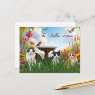 Hallo Hallo Miauw / Katten in de Tuin Schattig Die Briefkaart