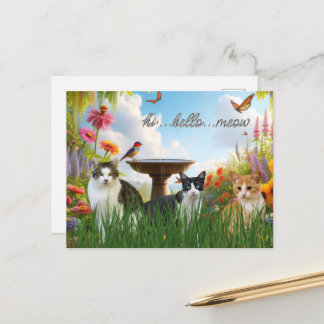 Hallo Hallo Miauw / Katten in de Tuin Schattig Die Briefkaart
