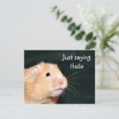 hallo hamster briefkaart (Staand voorkant)