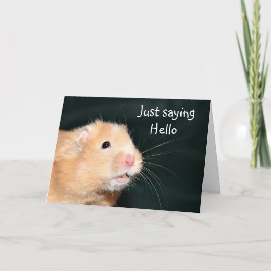 Hallo Hamster Kaart (Voorkant)