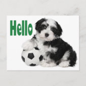 Hallo Havanese Puppy Dog Briefkaart (Voorkant)