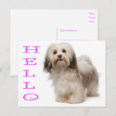 hallo Havanese Puppy Dog Briefkaart (Voorkant / Achterkant)