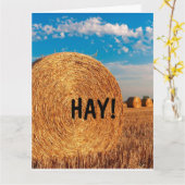 HALLO HAY FUNNY PUN WENSKAARTEN KAART (Gele Bloem)