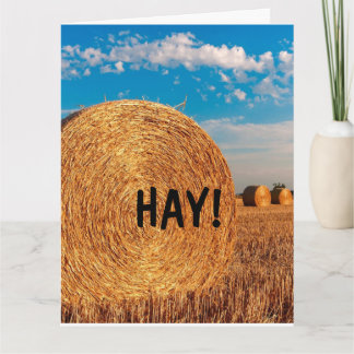 HALLO HAY FUNNY PUN WENSKAARTEN KAART