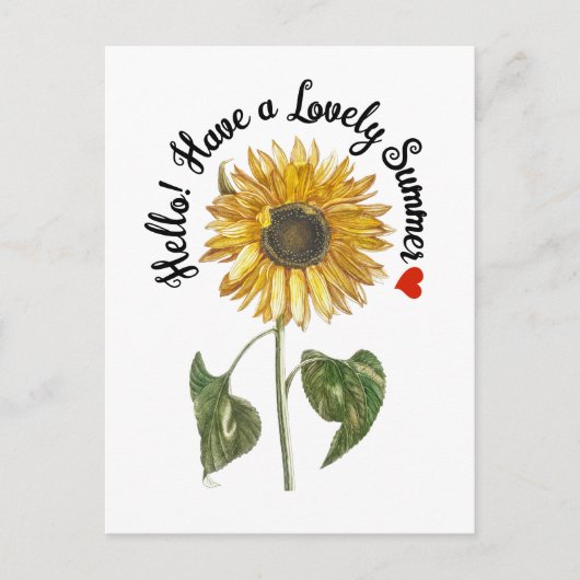 hallo! Heb een mooie zomer - zonnebloem Briefkaart (Voorkant)