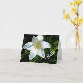 HALLO HELDERWITTE, STERVORMIGE BLOEM / KAART (Gele Bloem)