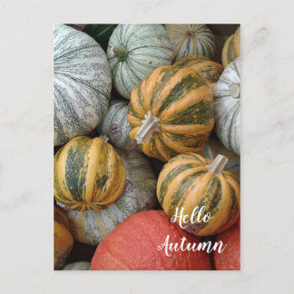 hallo herfst - Gourds Briefkaart