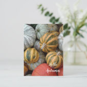 hallo herfst - Gourds Briefkaart (Staand voorkant)